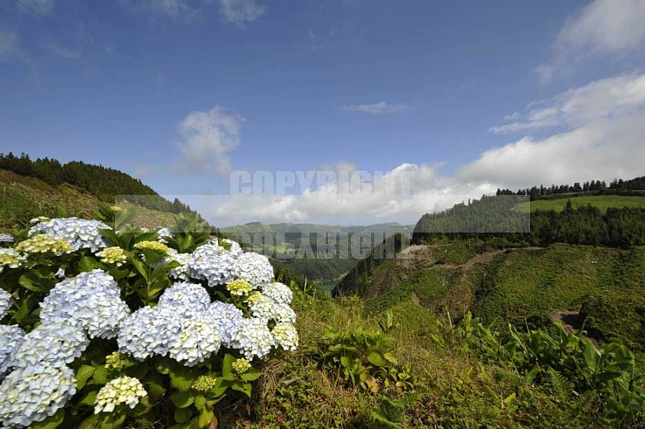 Açores Açores