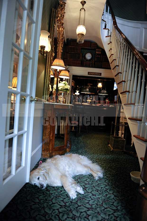 Charlotte Inn