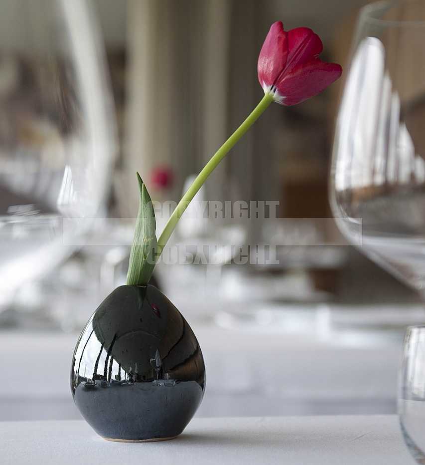 Restaurante Eleven Restaurante Eleven