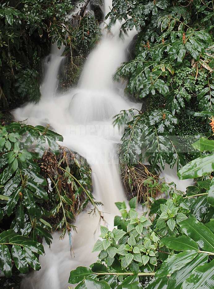 Açores
