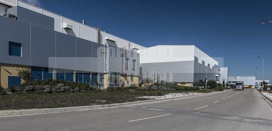 Fábrica de Papel