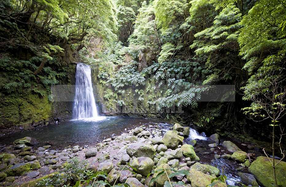 Açores