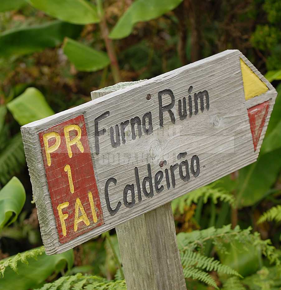 Faial Açores