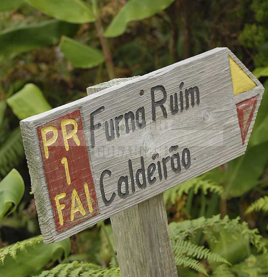 Faial Açores