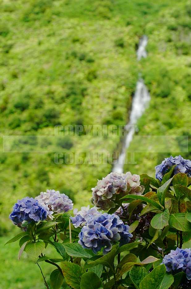 Açores