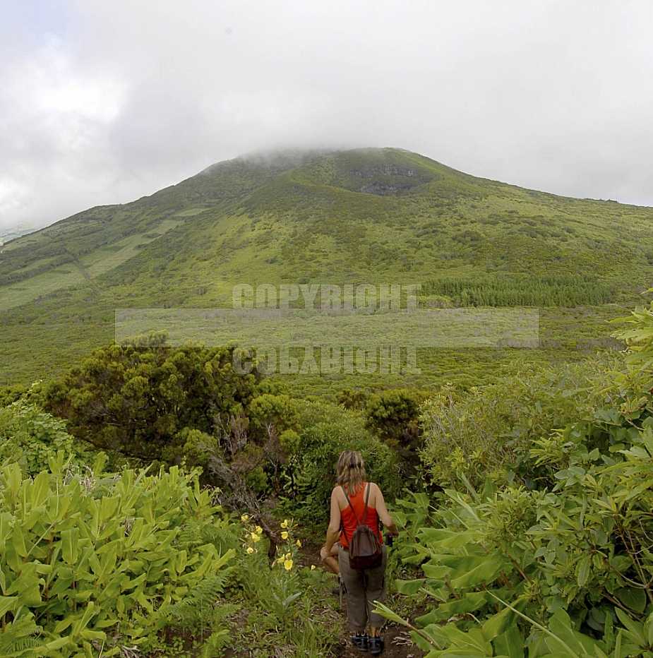 Faial Açores Faial Açores