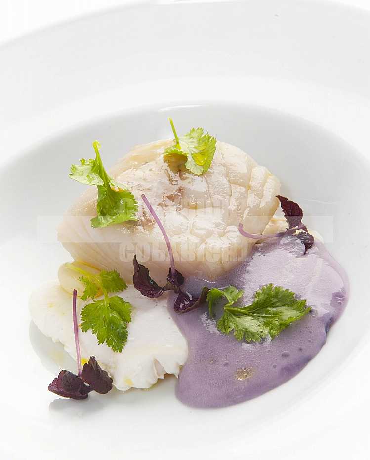 Food Stylish