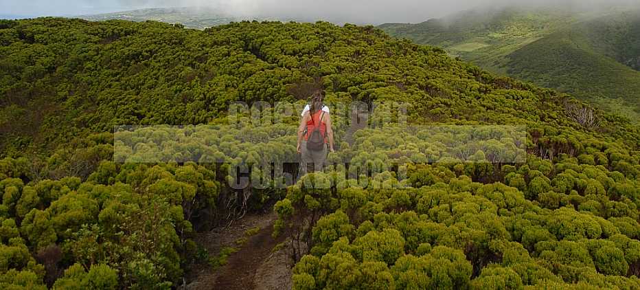 Faial Açores