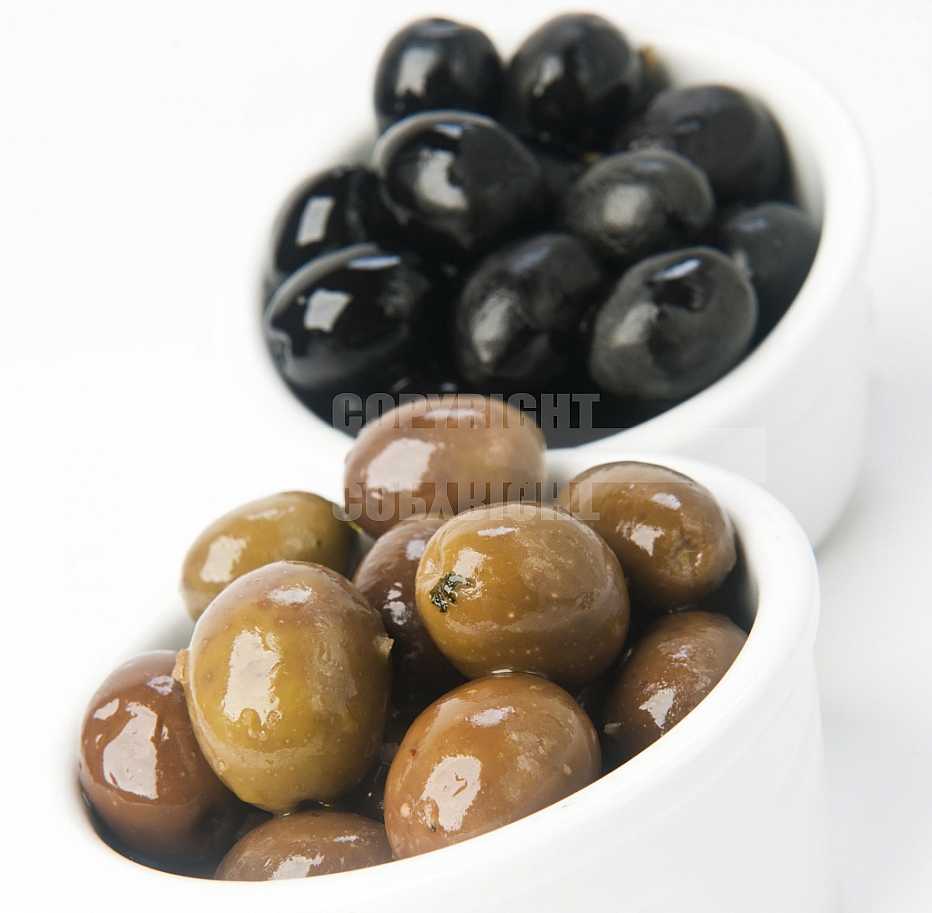 Gastronomia Portuguesa