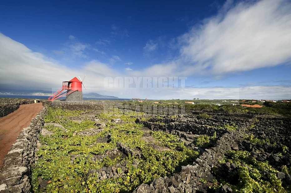 Açores