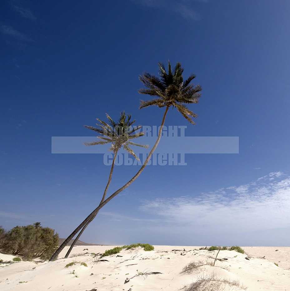 Cabo Verde, Ilha da Boavista