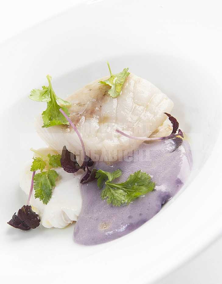 Food Stylish