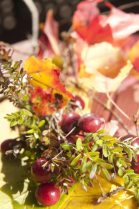 Cranberrie Harvest